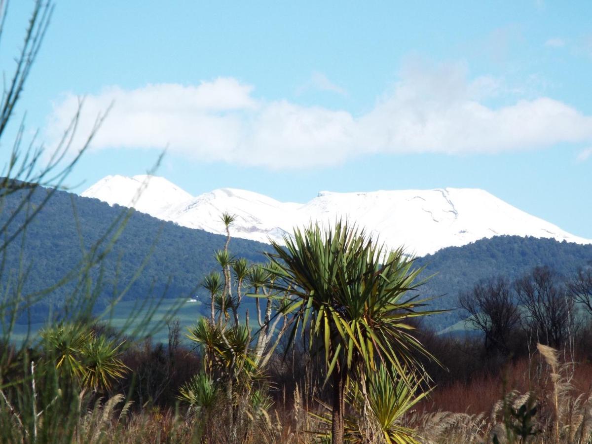 Willa 10 @ Wai Matangi Turangi Zewnętrze zdjęcie
